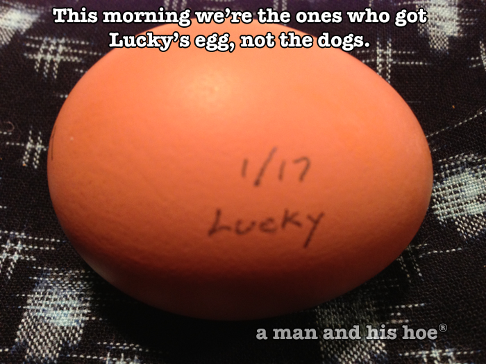 Lucky‘s Egg