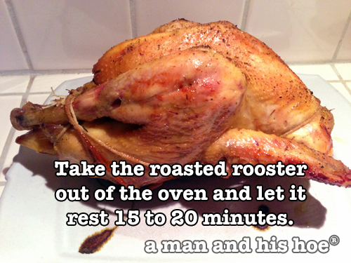 Roasting a rooster step 8