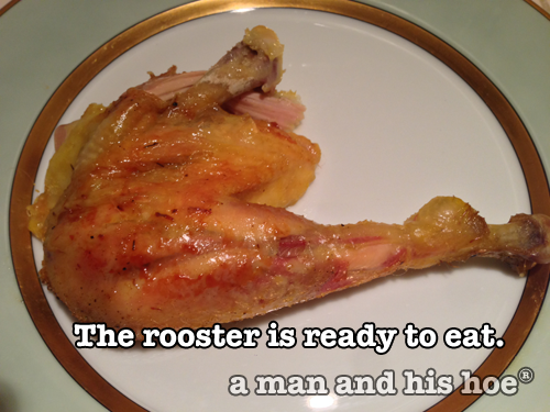 Roasting a rooster step 9