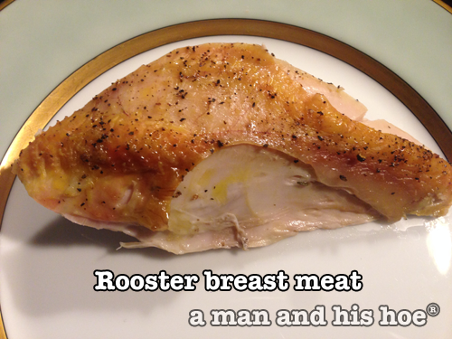 Rooster breast meat