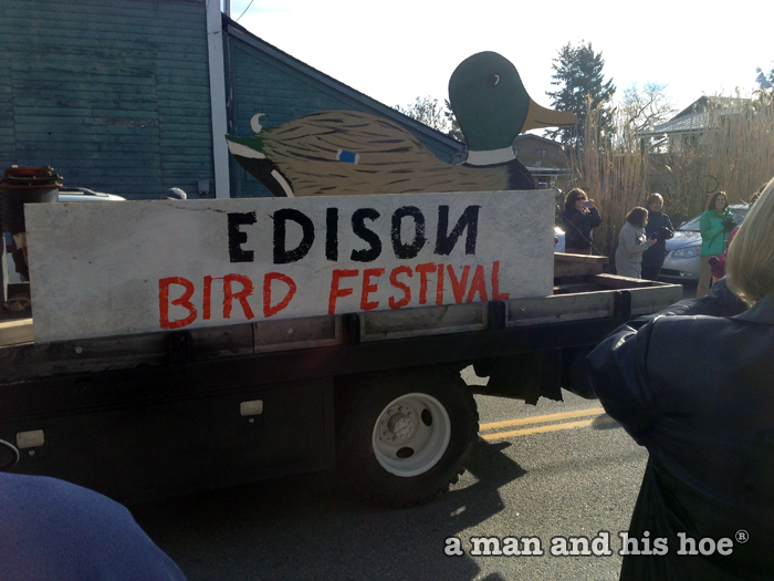 Edison Bird Festival