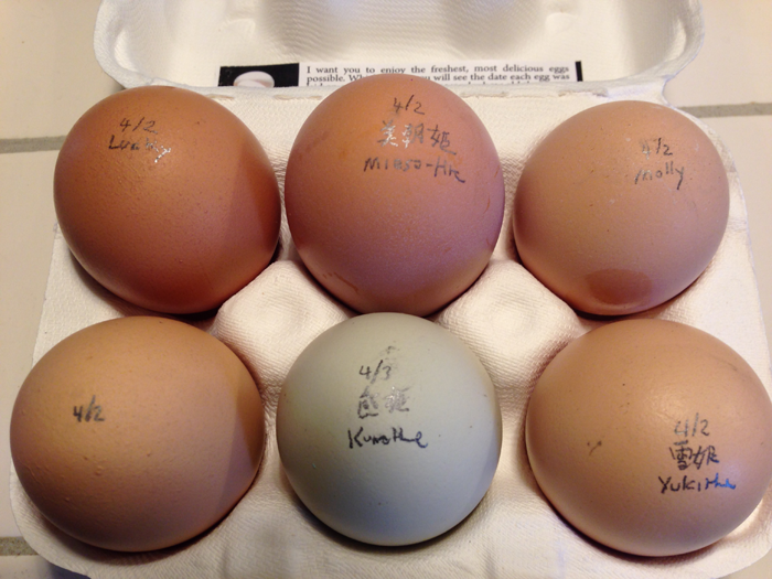 Eggs20140403C