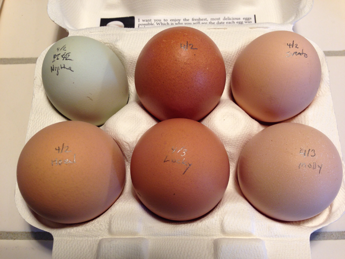 Eggs20140403D