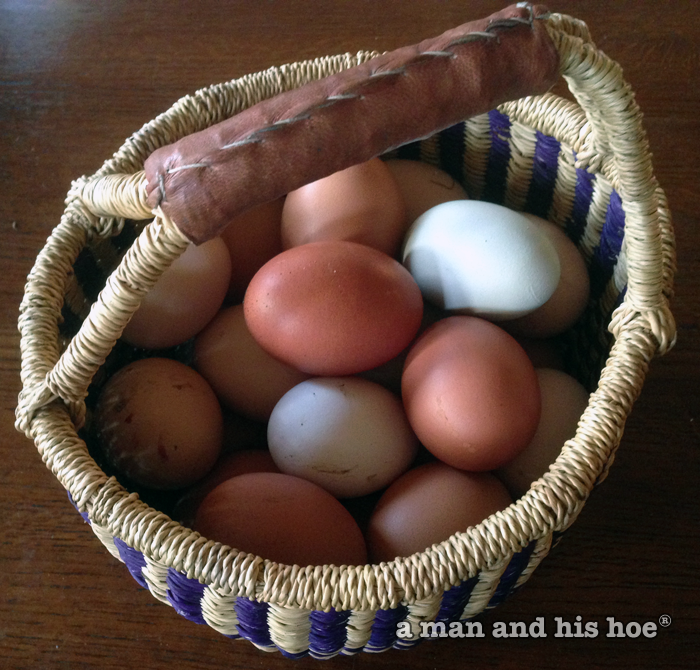 Eggs in a basket