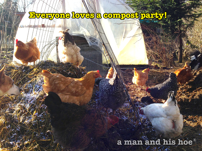 Everyone Loves Compost