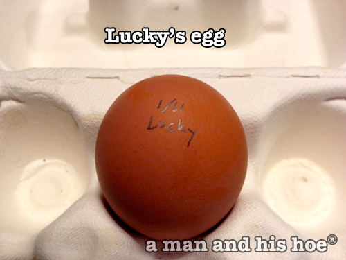 Lucky’s Egg