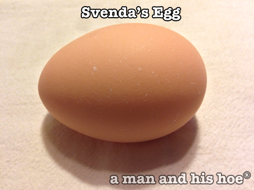 Svenda’s Egg