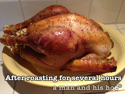 A roasted rooster