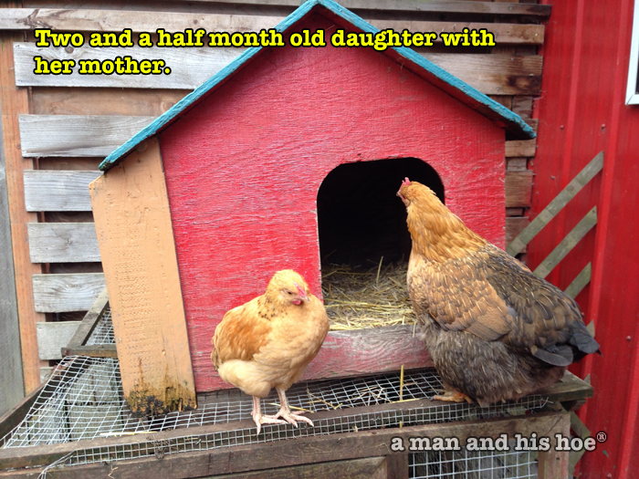 2 ½ month old daughter with her mother.