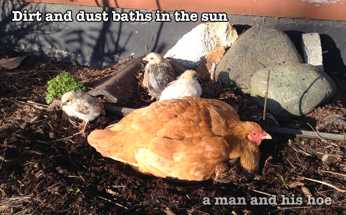 DirtAndSunBaths