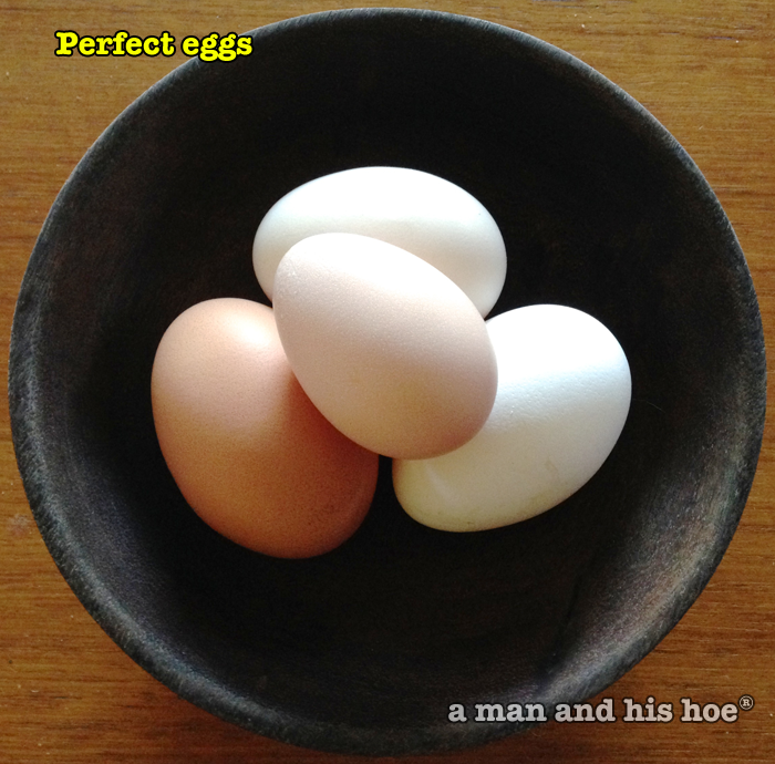 perfect eggs