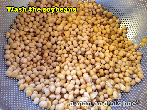 TofuStep03-soybeans