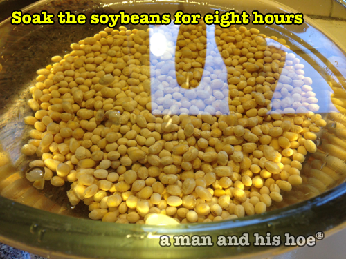 TofuStep04-soybeans