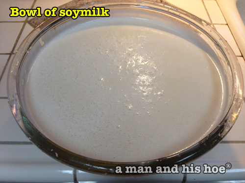 TofuStep13-soymilk