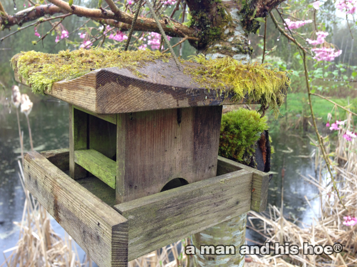 MossCoveredBirdFeeder