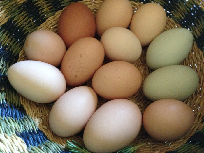 20140703Eggs