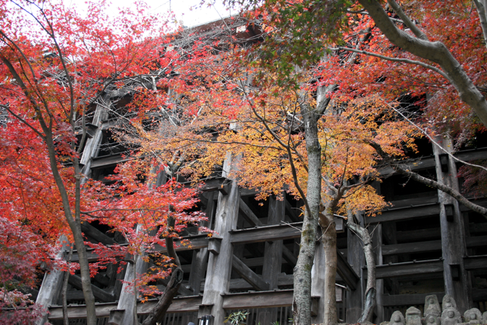 KiyomizuderaFoundationA