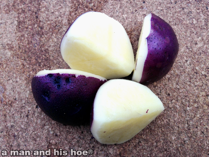 PurplePotatoesC