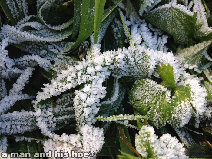 Frost141116A