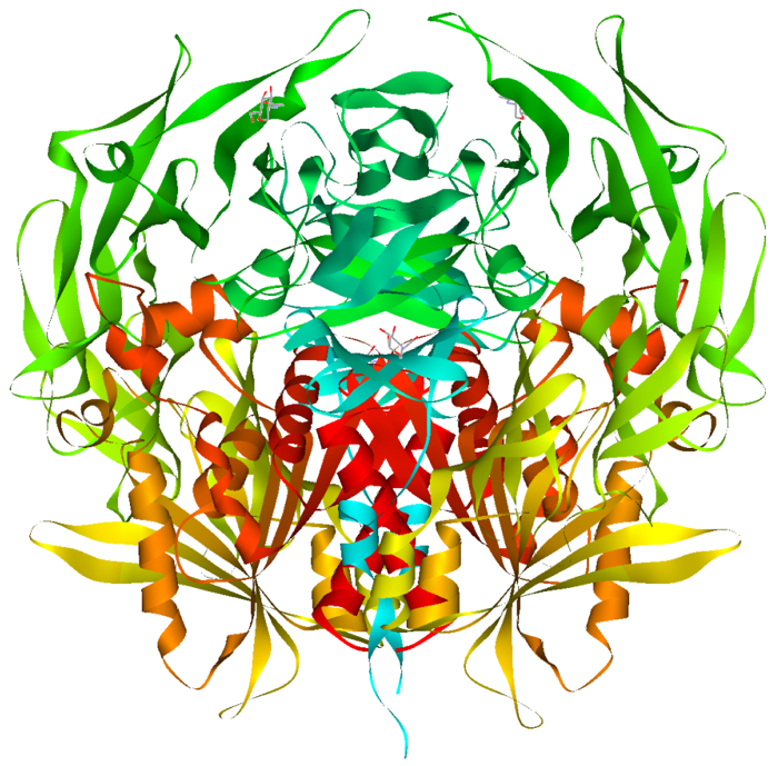 DipeptidlyPeptide