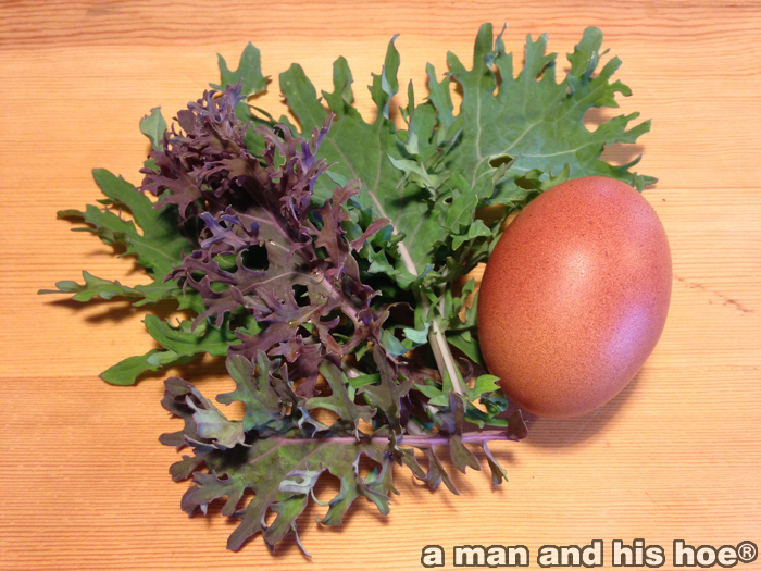 WinterKaleAndEgg