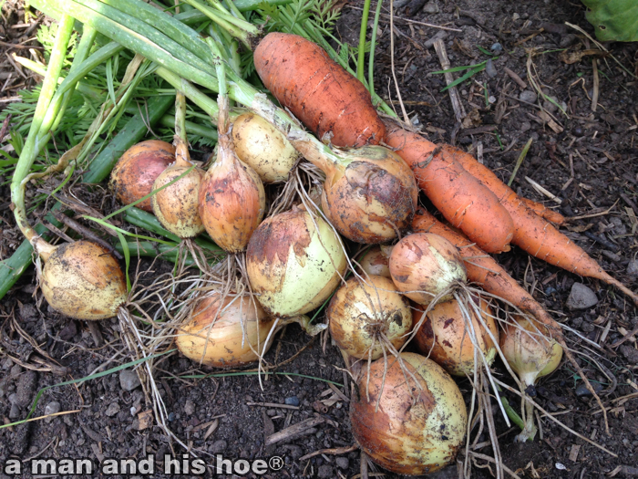 Gleaning