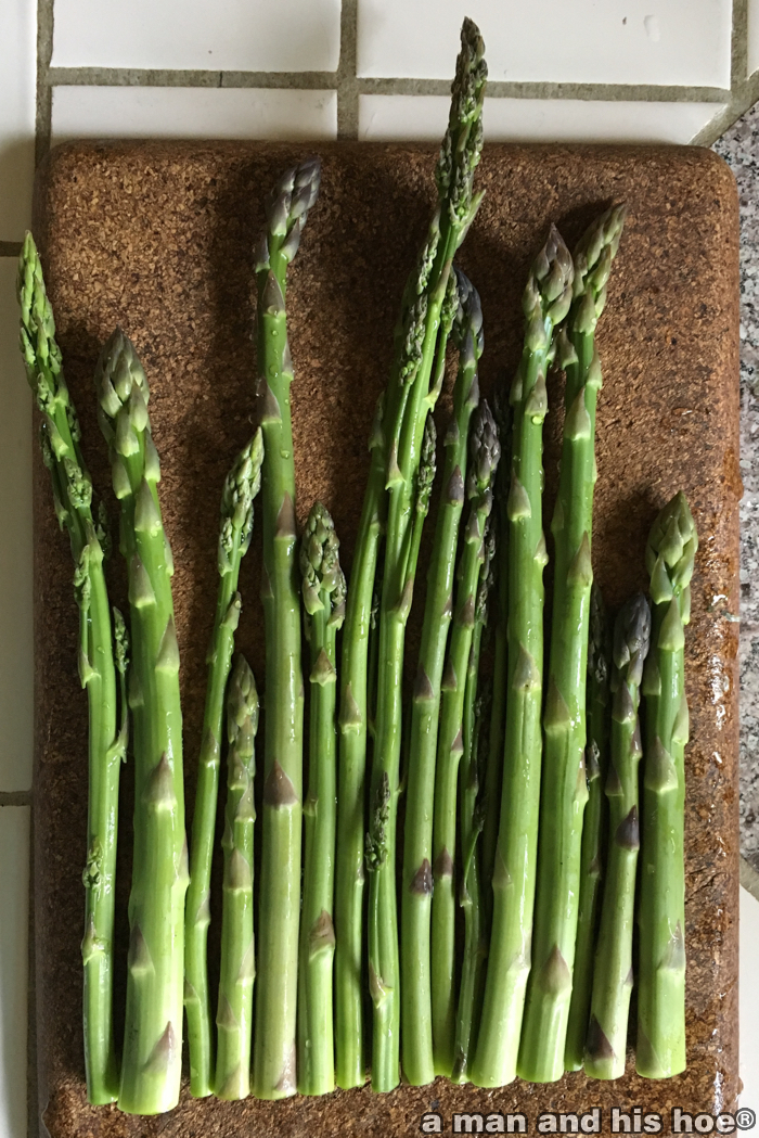 Asparagus