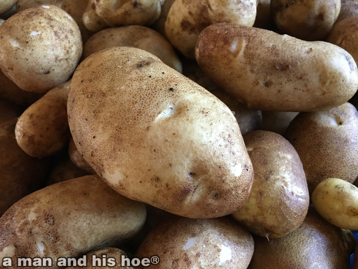 20180817C-PotatoesE