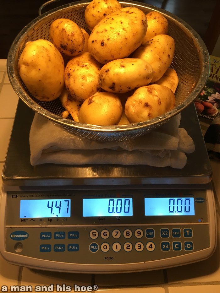 OnePotatoYield