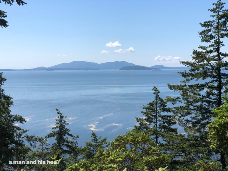 Chuckanut Drive on a summer day