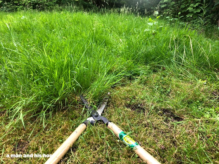 shears-cutting-grass