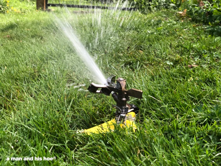 sprinkler on lawn