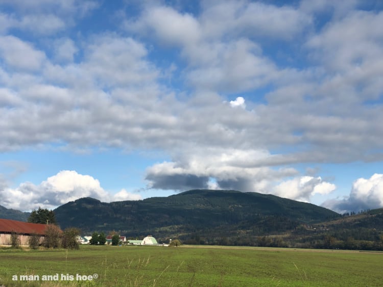 Chuckanut in the fal