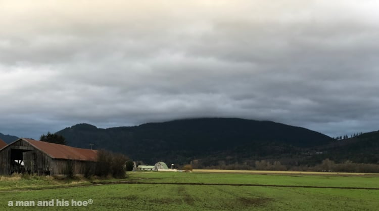 Dark, broody, Chuckanut