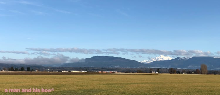 Mt Baker and Lyman Hill