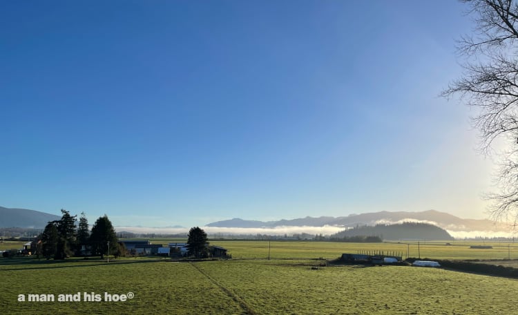 skagit valley in the morning