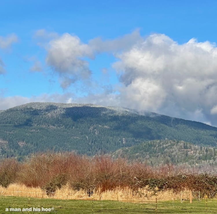 snow dusted Oyster Dome