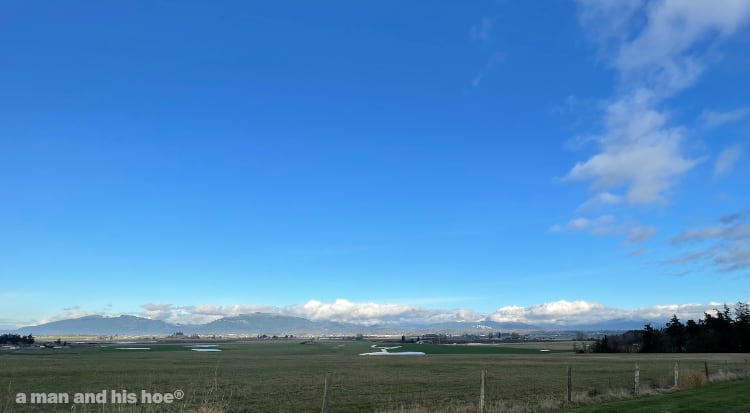blue skies over the Skagit Valley