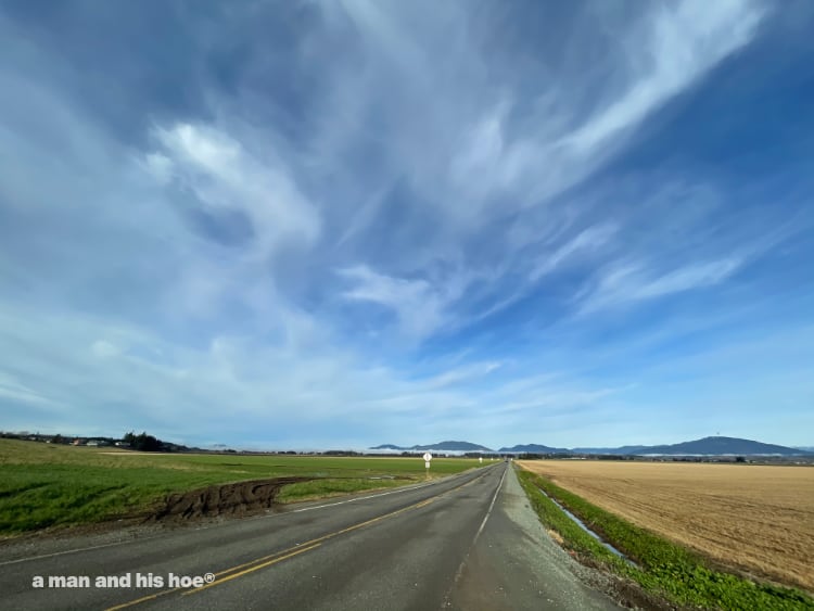 blue winter sky