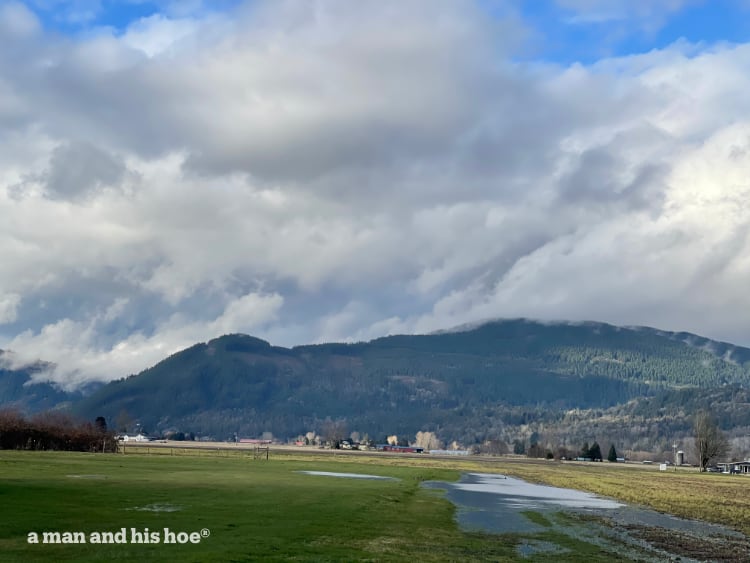 Oyster Dome in February