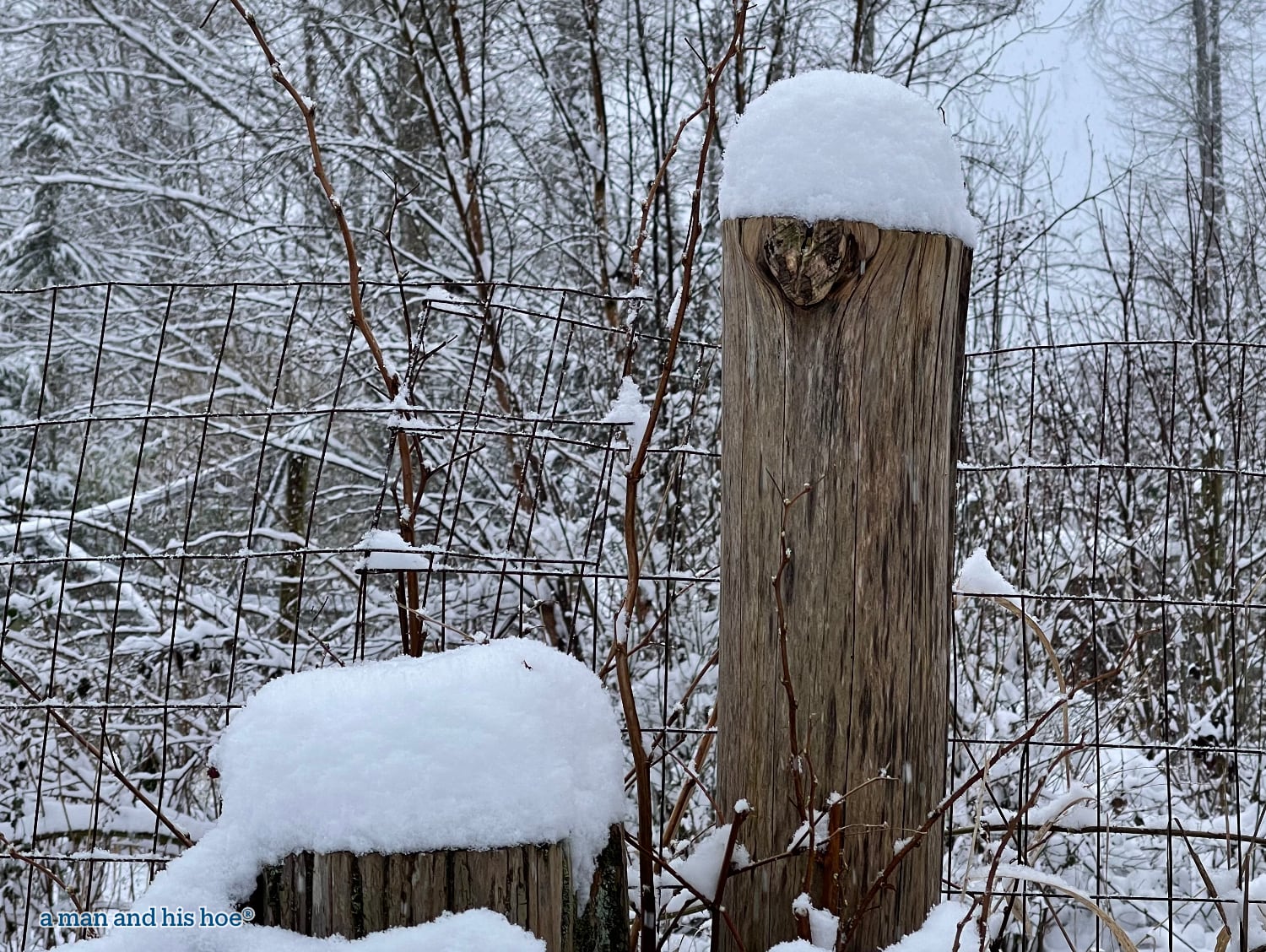 snow on posts
