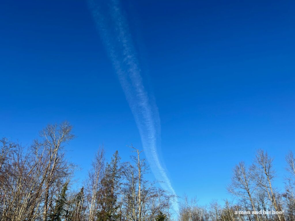 jet contrail at dawn