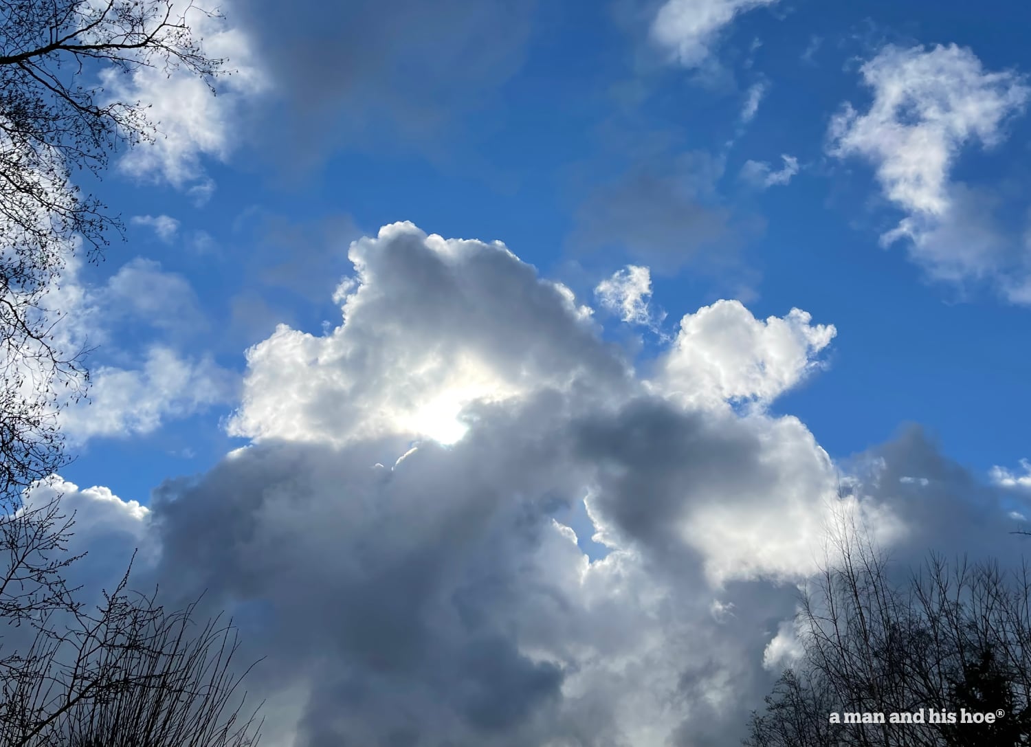 Blue and white, the skies and clouds put on a remarkable display.