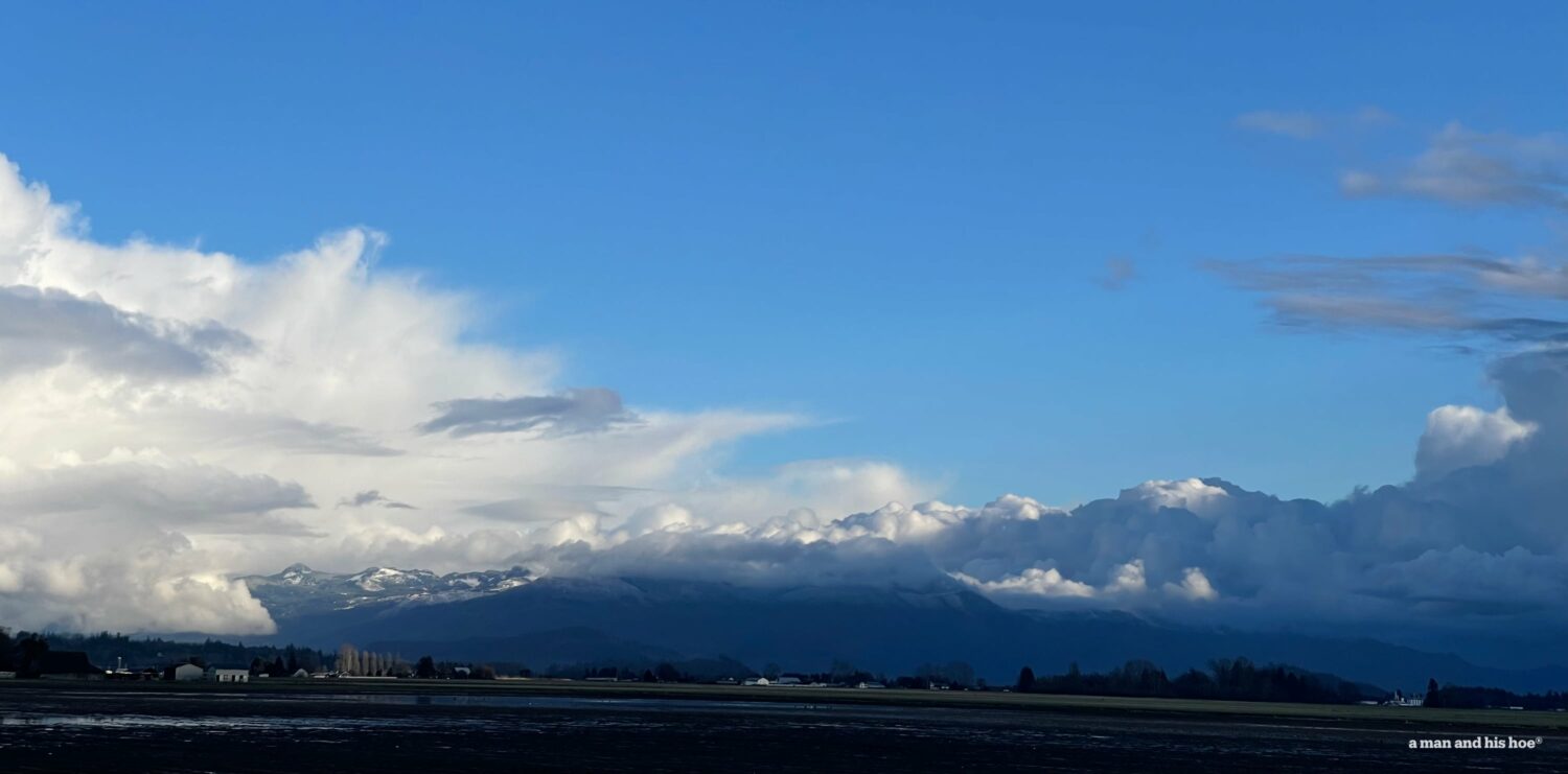 Blue and white. Exploding sunlit clouds over the Skagit Valley.