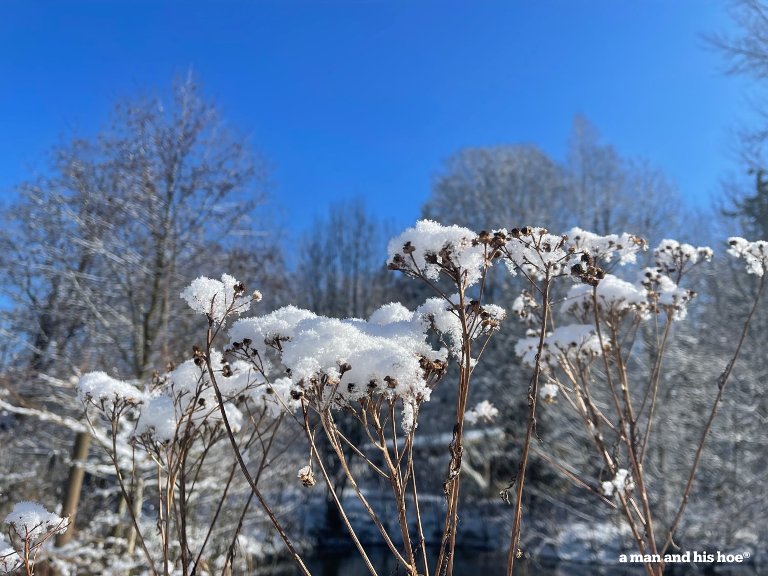 A snow so light it almost didn't fall