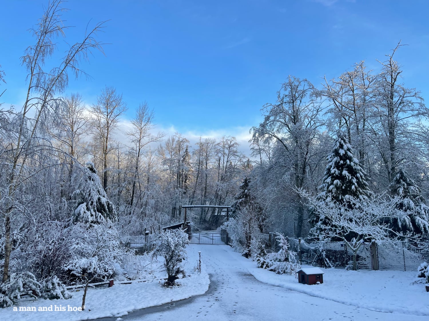 Change is in the air - snowy February morning.