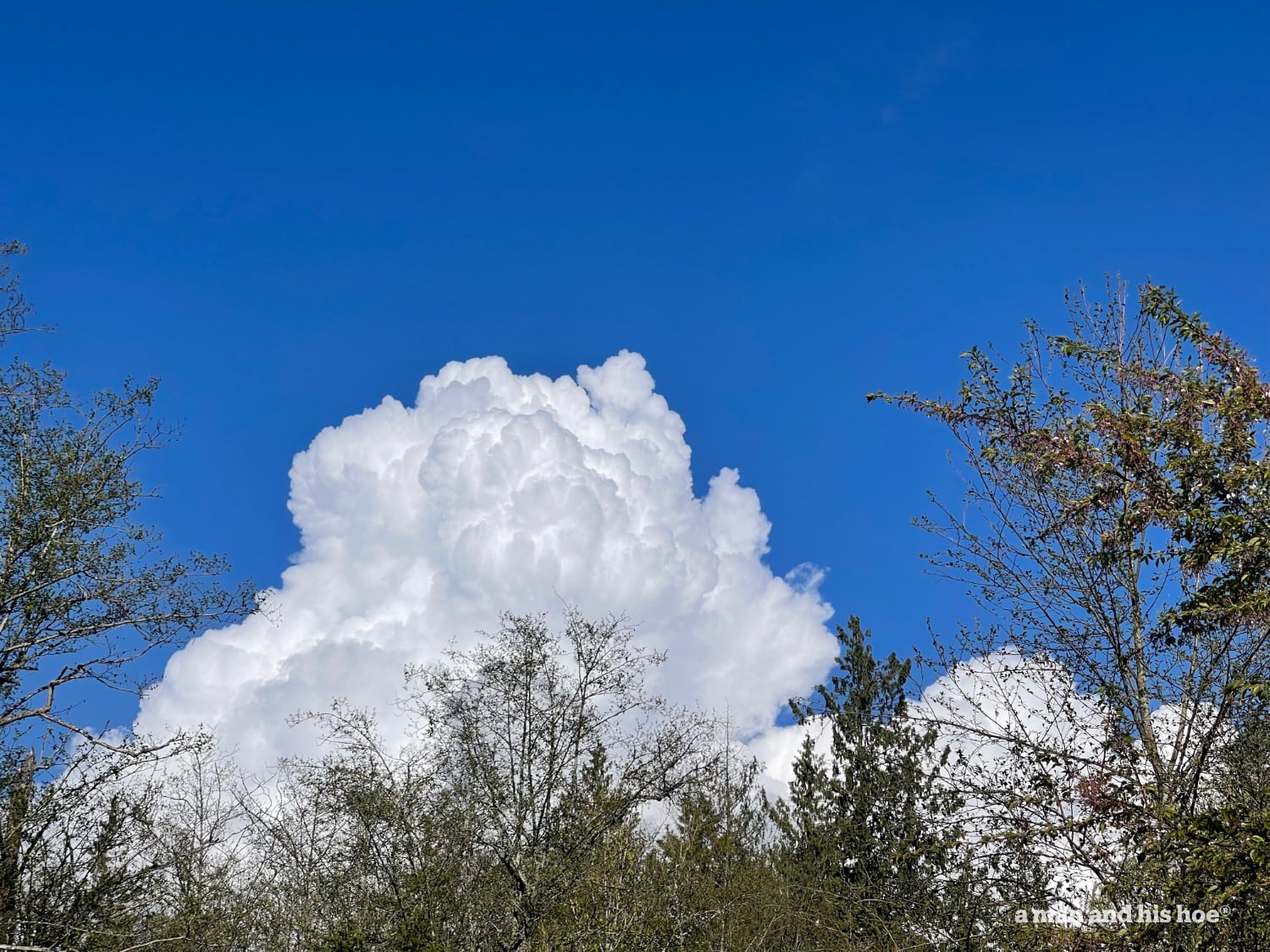 Billowing white clouds