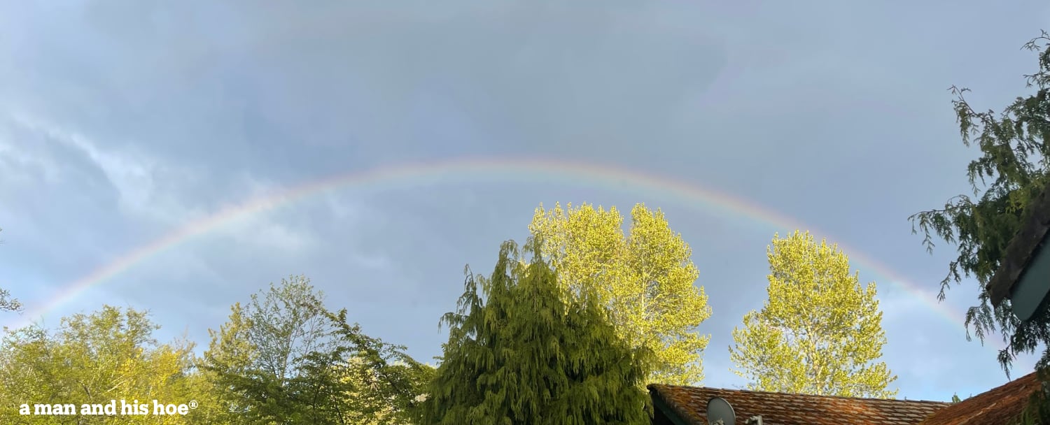 Late spring rainbow