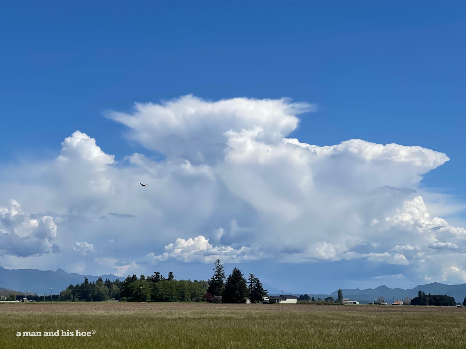 Building thunderstorms over the mountains.