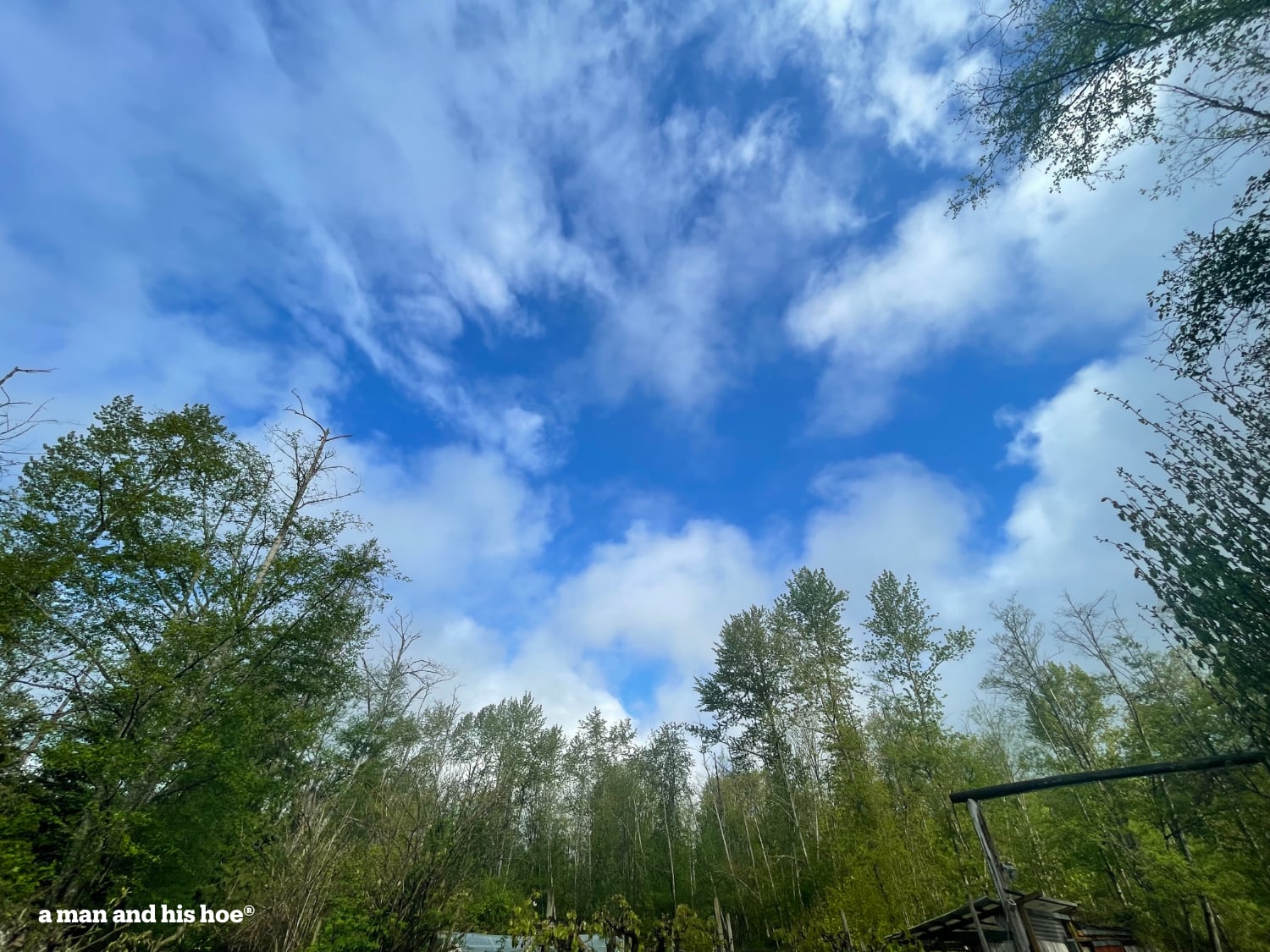 Sky with bits of blue